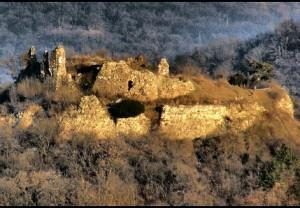 6701-Bujak-vara-640x480