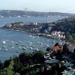 bebek