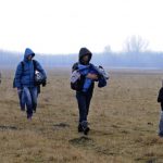 150149_D_KZG20150129010_1024x682