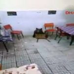 Rajtaütött a kávézón egy medvebocs