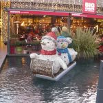 12400019_10207655062195758_410399785_o