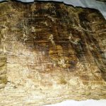 ALTIN VARAKLI BİN YILLIK İNCİL ELE GEÇİRİLDİ TOKAT’TA YAPILAN 6 AYRI TARİH ESER OPERASYONUNDA ÇOK SAYIDA TARİHİ ESERİN YANI SIRA ALTIN VARAKLA YAPILMIŞ BİN YILLIK OLDUĞU TAHMİN EDİLEN İNCİL ELE GEÇİRİLDİ