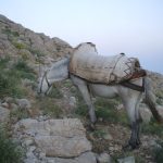 kahta 047