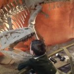 dino_park