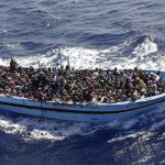 migrans_hajo
