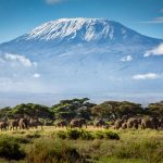 Kilimanjaro