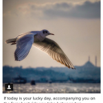 Istanbul_insta_25