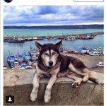 Istanbul_insta_26
