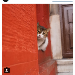 Istanbul_insta_27