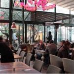 cigale