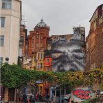 14. balat