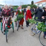 novenyfesztival