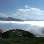 artvin11