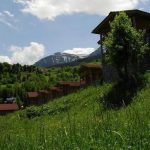 artvin15