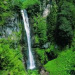 artvin16