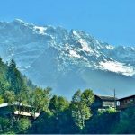 artvin18