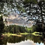 artvin19