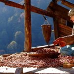 artvin2