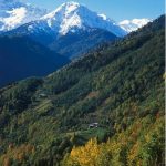 artvin20