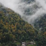 artvin21