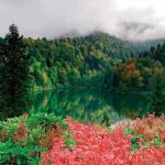 artvin22