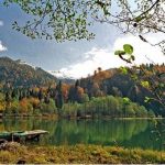 artvin23