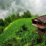artvin24