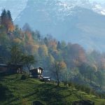 artvin3