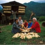 artvin5