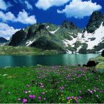 artvin6