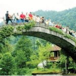 artvin7