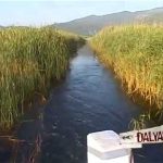 Dalyan Beldesi Tanıtımı