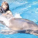 Otizmli çocuklara yunuslarla moral