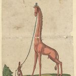 Élet és közélet a XVI. századi Oszmán Birodalomban: Vadállatok Isztambulban – 1555-ben