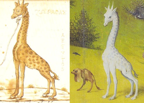 A zsiráf Ciriaco (balra) és Bosch (jobbra) ábrázolásában