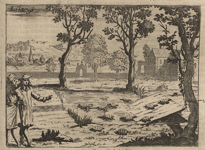 Az osztrák Wolf Helmhardt von Hohberg (1612–1688) Georgica curiosa című, 1682-ben megjelent művében a teknősök gazdasági hasznosításával kapcsolatban még egy teknőskeltető farmot is ábrázol (Wikimedia Commons)
