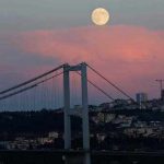 moon17