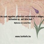 ha_csak_egyetlen_pillantast