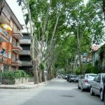 Kultúra élesben: Így találtam albérletet Ankarában