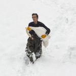 Egy trabzoni munkás kimentette a jeges tóból a hattyúkat