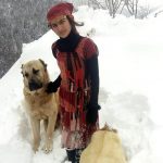 Egy rizei pásztorlány és kutyájának története