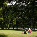 park