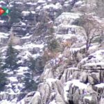 Giden Gelmez Dagları