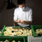 İki Türk Macaristan’da bu işi yapıp ayda 32 bin TL alacaklar