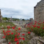 Perge3