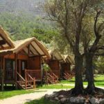 kabak2