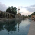 Urfa8