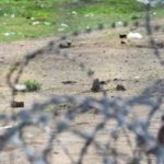 Avrupa Adalet Divanı’ndan Macaristan’a ret