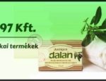 bettina_banner