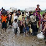 rohingja